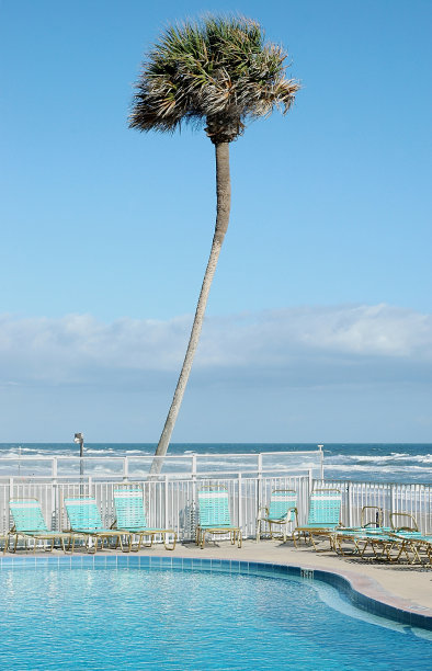 海边的池塘图片下载