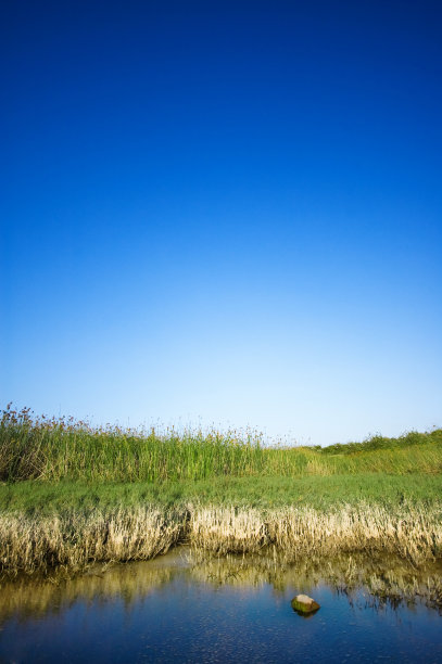 蓝天沼泽图片下载