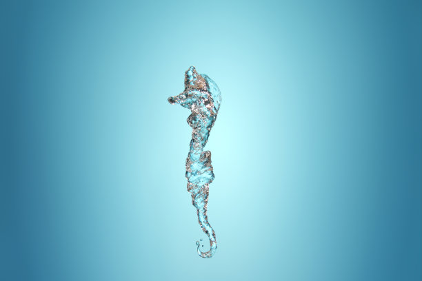 水海马图片下载