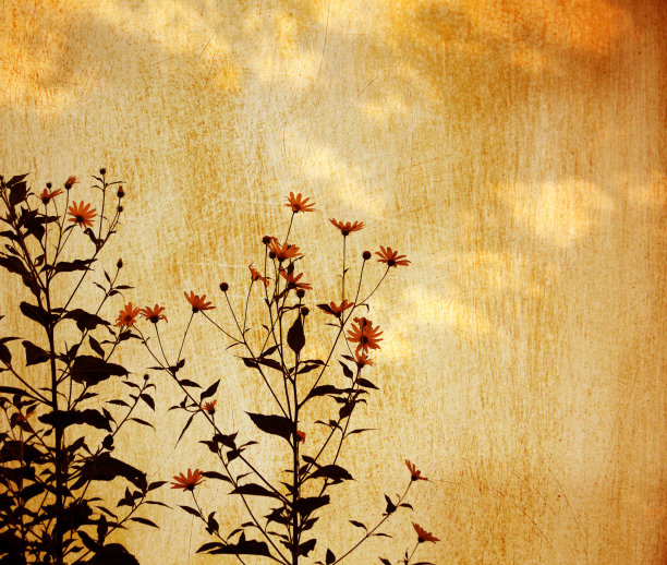 花与Grunge背景图片下载