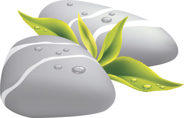 两块灰色的鹅卵石上有新鲜的叶子。图片下载