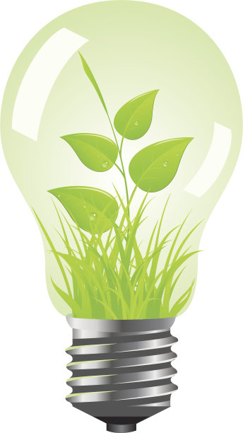 球茎内有植物图片下载