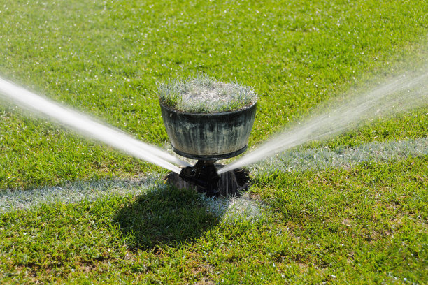 浇水的地盘图片下载