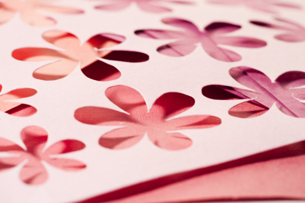 制作卡片、请柬等的工艺美术材料。图片下载