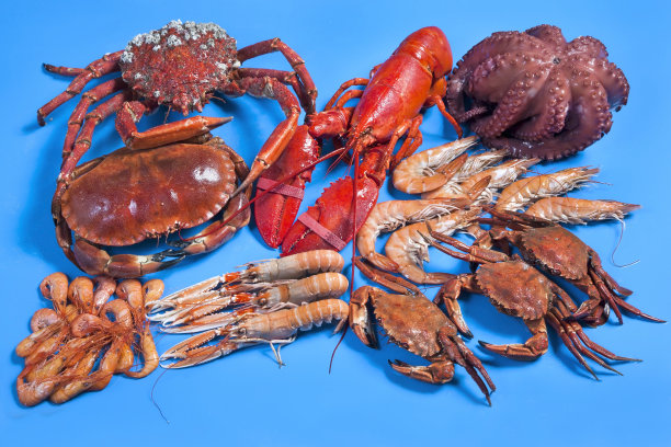 还是新鲜的海鲜图片下载