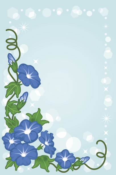 牵牛花的背景图片下载