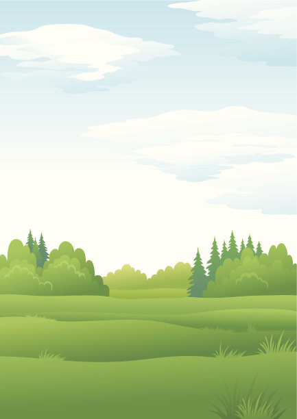 森林景观,夏天图片下载