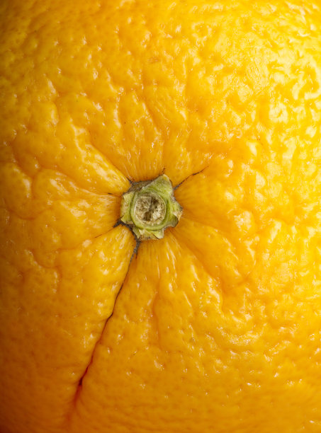 橙色的中心图片下载