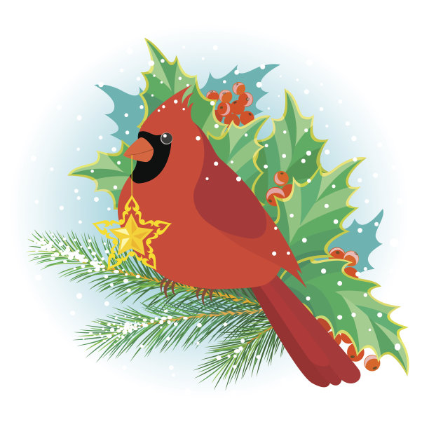 圣诞节的红衣主教图片下载