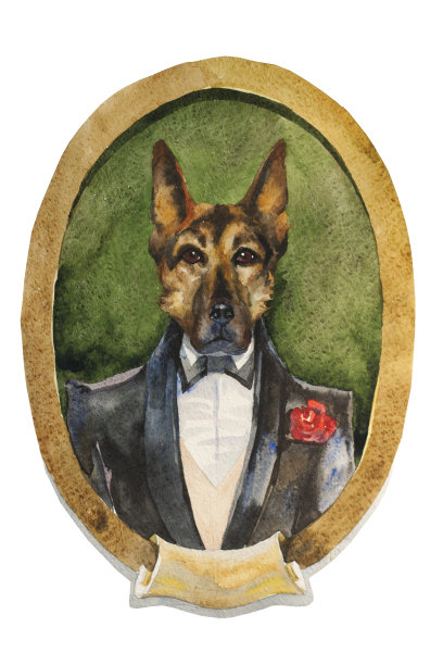 牧羊犬肖像图片下载