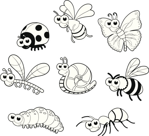 虫子+ 1只蜗牛。图片下载