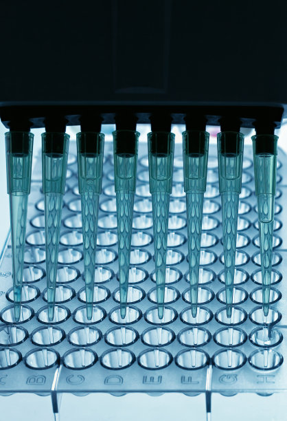 在盘子中移液样品图片下载