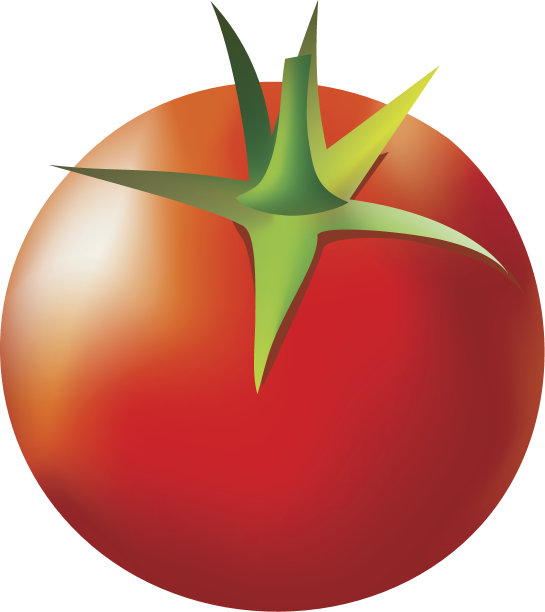 番茄图片下载