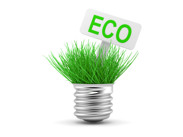 绿色的草在光线中生长图片下载