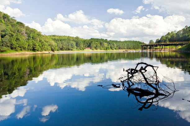 神奇的蓝色图片下载