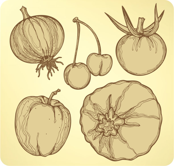 蔬菜水果套装，手绘。矢量插图。图片下载
