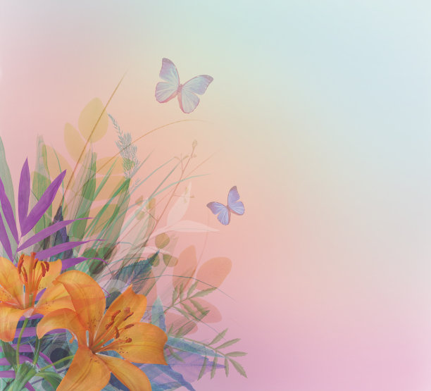 莉莉的图片下载