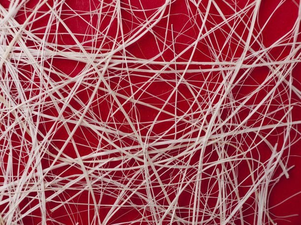 拉菲亚股在红色，抽象线条的背景图片下载