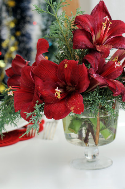 一束孤挺花图片下载