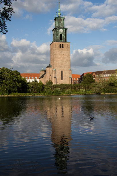 圣马克爱猪丹尼图片下载