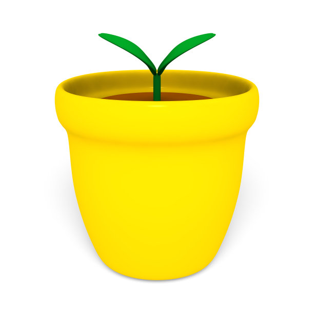 盆栽的嫩枝图片下载