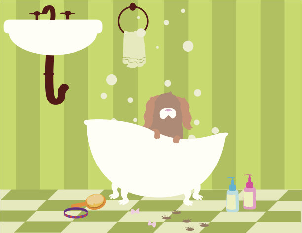 一只棕色的狗正在洗澡图片下载