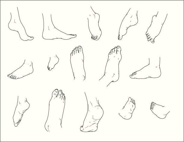 不同的脚图片下载