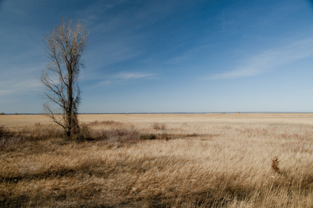 春季广阔的湿地图片下载