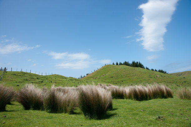 云塔。图片下载
