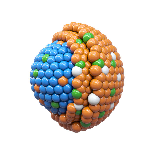 粒子的横截面图片下载