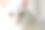 白色的猫图片下载