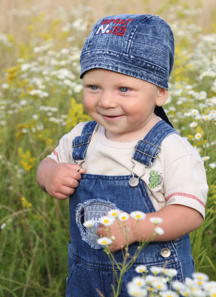 孩子和甘菊图片下载