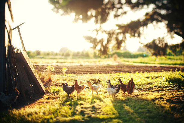 农场图片素材ID：104283478