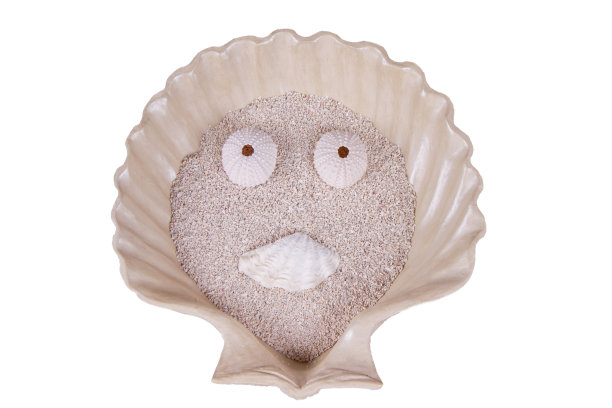 海贝壳笑脸图片下载