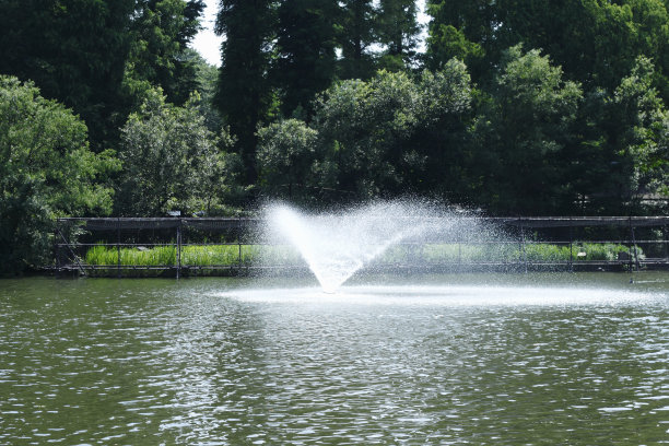 喷泉。图片下载