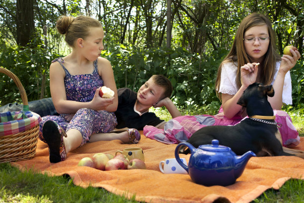 孩子们在野餐图片下载