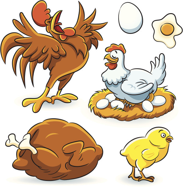 鸡集合图片下载