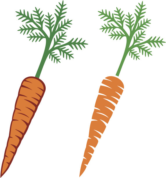 新鲜的胡萝卜图片下载