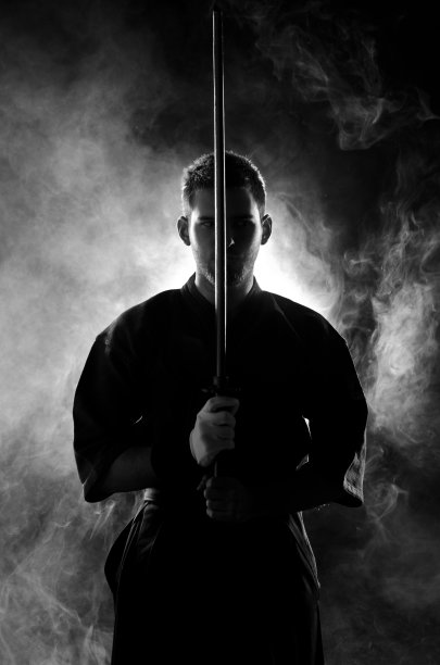 剑道专家构成图片下载