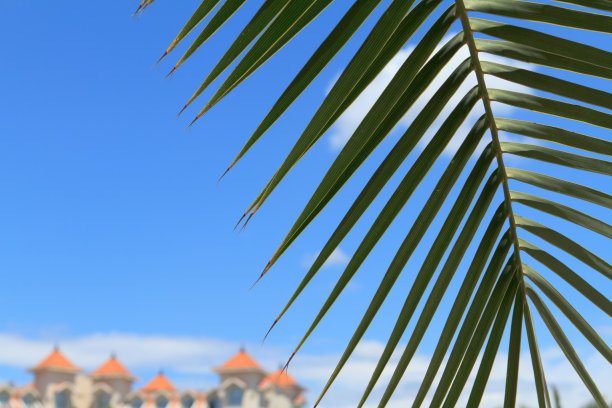 度假胜地图片下载