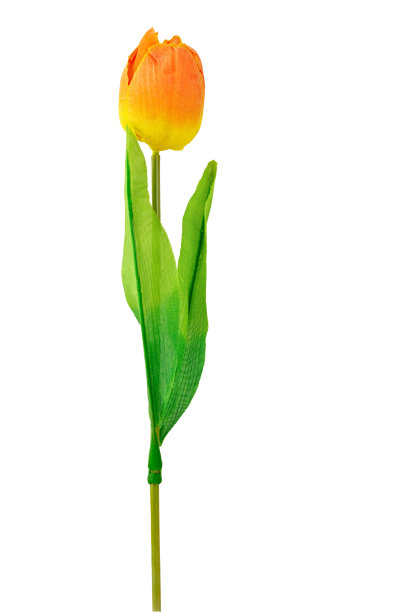 装饰人造花图片下载