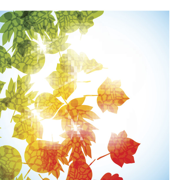 秋天背景图片下载