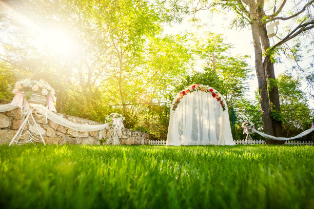草地上的婚礼拱门图片下载