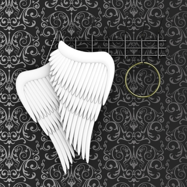 天使的翅膀图片下载
