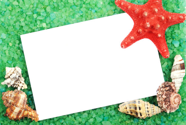 贝壳框架图片下载