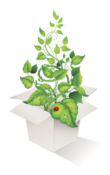 绿色植物箱图片下载