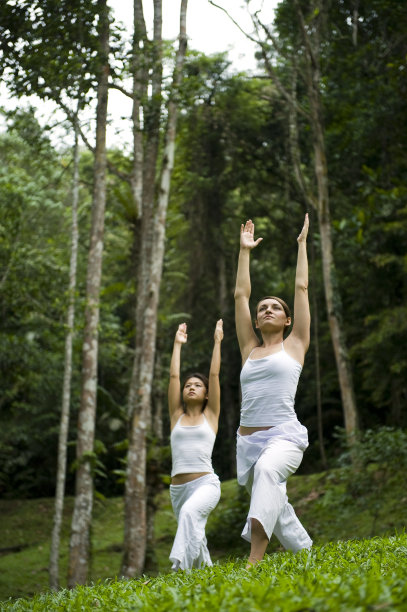 瑜伽成对图片下载