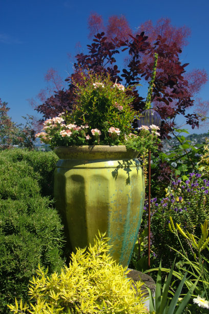 绿色花盆图片下载