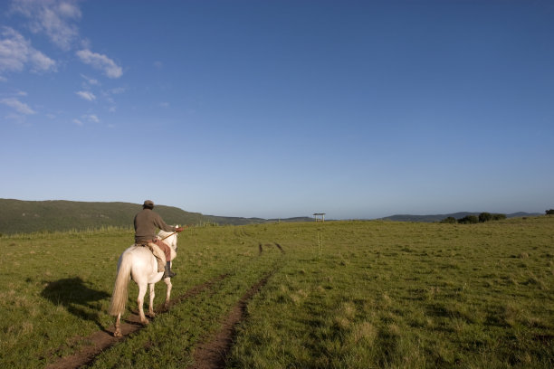 骑马的人图片下载