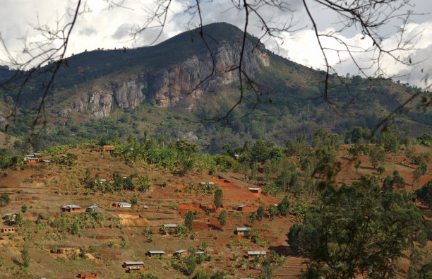 Usambara山脉-坦桑尼亚图片下载